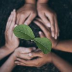 EU new rules for production and labelling of organic products